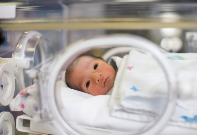 Join Us for the Next NEO Grand Rounds on Preterm Infants and Omega-3 Fatty Acids Featured Image