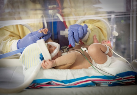 Pediatrix Cardiology Associates Of New Mexico