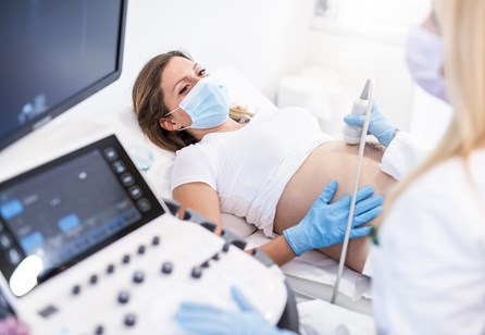 Maternal Fetal Medicine